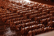 Waffles with nuts are coated with chocolate on conveyor. Production line of food factory, concept modern bakery plant