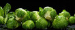 Brussels sprouts with drops of moisture on dark background, banner