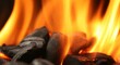 Coal fire background