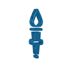 Poster - Blue Torch flame icon isolated on transparent background. Symbol fire hot, flame power, flaming and heat.