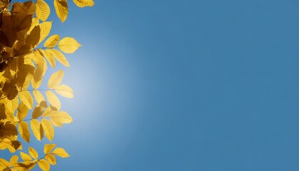 Wall Mural - Trendy blue sky background with green tropical plants and leaves.	
