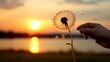A hand holding a dandelion with its seeds ready to be blown away, captured against a sunset backdrop.