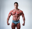 Healthy strong man athlete body muscle anatomy. Generative AI