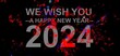 We wish you a happy new year 2024