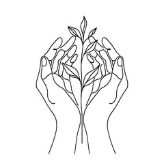 Wall Mural - line drawing of hands gently holding a sapling. concept of growth, care, and environmental conservat