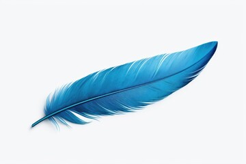 Poster - A beautiful blue feather is placed on a clean white background. This image can be used for various purposes, such as nature-themed designs, stationary, or as a symbol of freedom and lightness.