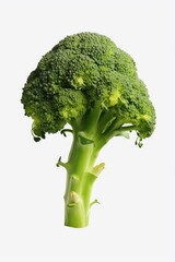 Poster - A single piece of broccoli is pictured on a clean white background.e