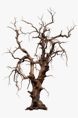 Poster - A picture of a bare tree against a white background. This image can be used for various purposes.