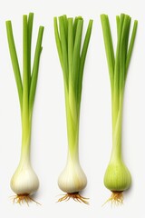 Poster - A group of fresh green onions placed on a clean white surface. This versatile image can be used in various culinary, health, or gardening contexts