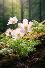 Poster - A group of pink flowers sitting on top of a lush green forest. This image can be used to depict the beauty of nature and the vibrant colors of spring.