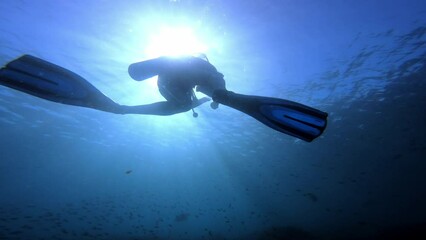 Wall Mural - Nature, fish in ocean and scuba diving in coral reef in Raja Ampat with biodiversity, ecology and tropical environment. Calm blue sea, underwater and and person with animals on adventure in Indonesia