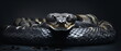© Mickael - Front view Attacking viper snake on black background, close up reptile sneaky, slimey and sly Snake head Photo Series. Generative ai