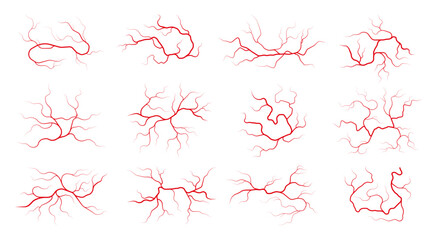 Human veins. Colorful blood vessels with flowing blood, arterial and venous system of human body, healthy circulatory system. Vector illustration of human health anatomy