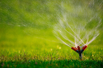 Wall Mural - Automated Irrigation Elegance: A Ballet of Sprinkler Caresses on the Lawn