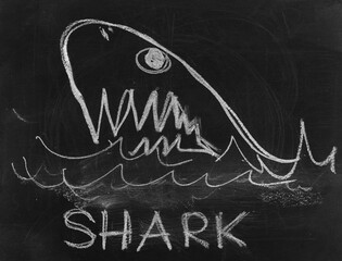 Wall Mural - Icon shark, hand draw chalk on chalkboard, blackboard texture