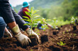 Volunteers engage in reforestation, planting young trees in rich soil, nurturing biodiversity and sustainability