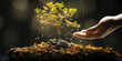 The nurturing touch of a hand on a tiny tree emerging from coin stacks, representing financial growth and environmental care