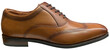 Brown men's dress shoe.