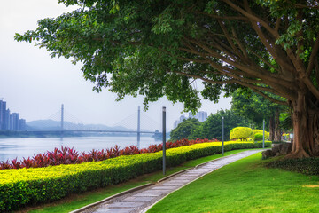 Wall Mural - City Plaza Park Grass Forest