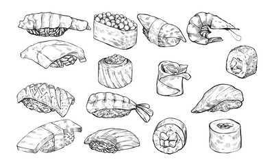 japan sushi handdrawn illustration engraving