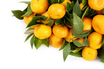 Wall Mural - Yellow tangerines isolated on white background. Copy space for text.