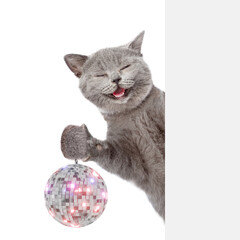 Poster - Happy cat looks from behind empty banner and shows dico ball. isolated on white background