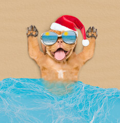 Poster - Happy Mastiff puppy wearing sunglasses and red santa hat lying on sandy tropical beach at ocean