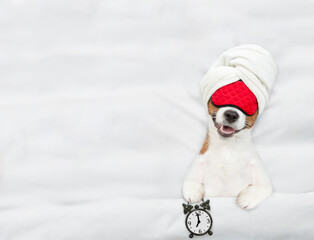 Poster - Jack russell terrier puppy with towel on it head wearing sleeping mask sleeps on a bed at home and holds alarm clock. Top down view. Empty space for text