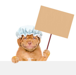 Poster - Funny Mastiff puppy wearing shower cap holds  empty placard above empty white banner. isolated on white background