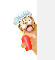 Poster - Happy mastiff puppy with cream and slices of cucumber on it face wearing shower cap looks from behind empty white banner and holds bottle of fleas shampoo. isolated on white background