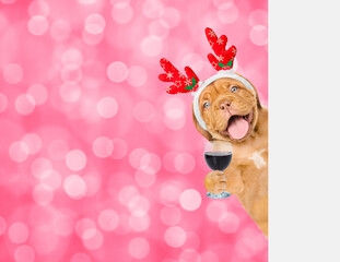 Poster - Happy Mastiff puppy dressed like santa claus reindeer  Rudolf looking from behind empty white banner and holds glass of red wine. Festive blurred background