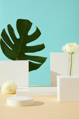 Wall Mural - Minimal background with copy space for cosmetics and product presentation. Front view of white geometries podiums decorated with white flower and green monstera leaf on blue background