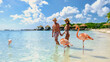 © Fokke Baarssen - Aruba Beach with pink flamingos at the beach, a couple of men and women on the beach with pink flamingos at Aruba Island Caribbean.