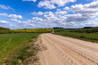 © rsooll - unpaved road in rural areas in spring, unpaved road