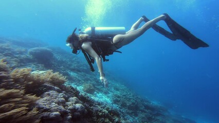 Poster - Scuba diving, woman and swimming underwater with coral reef for freedom, adventure and wildlife in ocean. Diver, person or snorkeling by seabed with gear for travel, vacation or undersea exploration