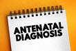Antenatal Diagnosis is the number of available methods and techniques to control the development of the foetus before birth, text on notepad