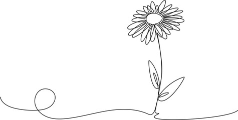 continuous single line drawing of daisy flower, line art vector illustration