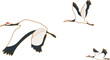 Flying crane bird icon.