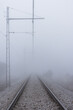 Viás de tren con niebla