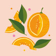 Poster with pieces of melon. sweet melon on pink background