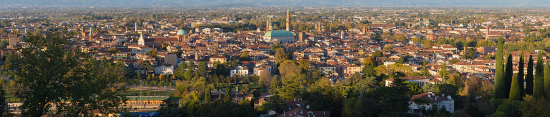Wall Mural - Panorama of Vicenza in evening light.