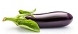 © AkuAku - The raw, fresh eggplant stands boldly as the sole ingredient in the image, isolated in a white background, casting a shadow that highlights its vibrant shades of green. Nobody can deny its natural