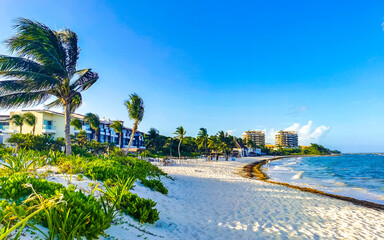 Wall Mural - Tropical Caribbean beach clear turquoise water Playa del Carmen Mexico.