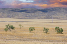 Prairie, Plain, Desert. Mesmerizing Hues Transform A Desert Landscape Into A Mesmerizing Masterpiece Nature AtIts Finest