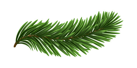 Canvas Print - Green Christmas Fir Branch