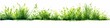 watercolor of green grass side view isolated on white background for landscape and architecture drawing, elements for environment and garden, painting botanical for exterior section, Generative AI 