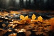 A collection of yellow leaves scattered on the ground. Perfect for autumn-themed designs or nature-inspired projects