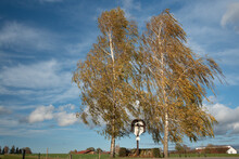 Two Tall Birch Trees Stand By The Roadside In Autumn In Bavaria. A Traditional Wooden Wayside Cross Stands Between The Trees. In The Background, A Blue Sky With Clouds, Trees And Houses.