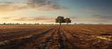 Scenic a field with trees and dirt way on sunset view. AI generated image