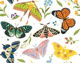 Fototapeta Motyle - Butterflies seamless pattern vector